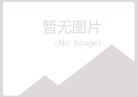 白银平川傲晴能源有限公司